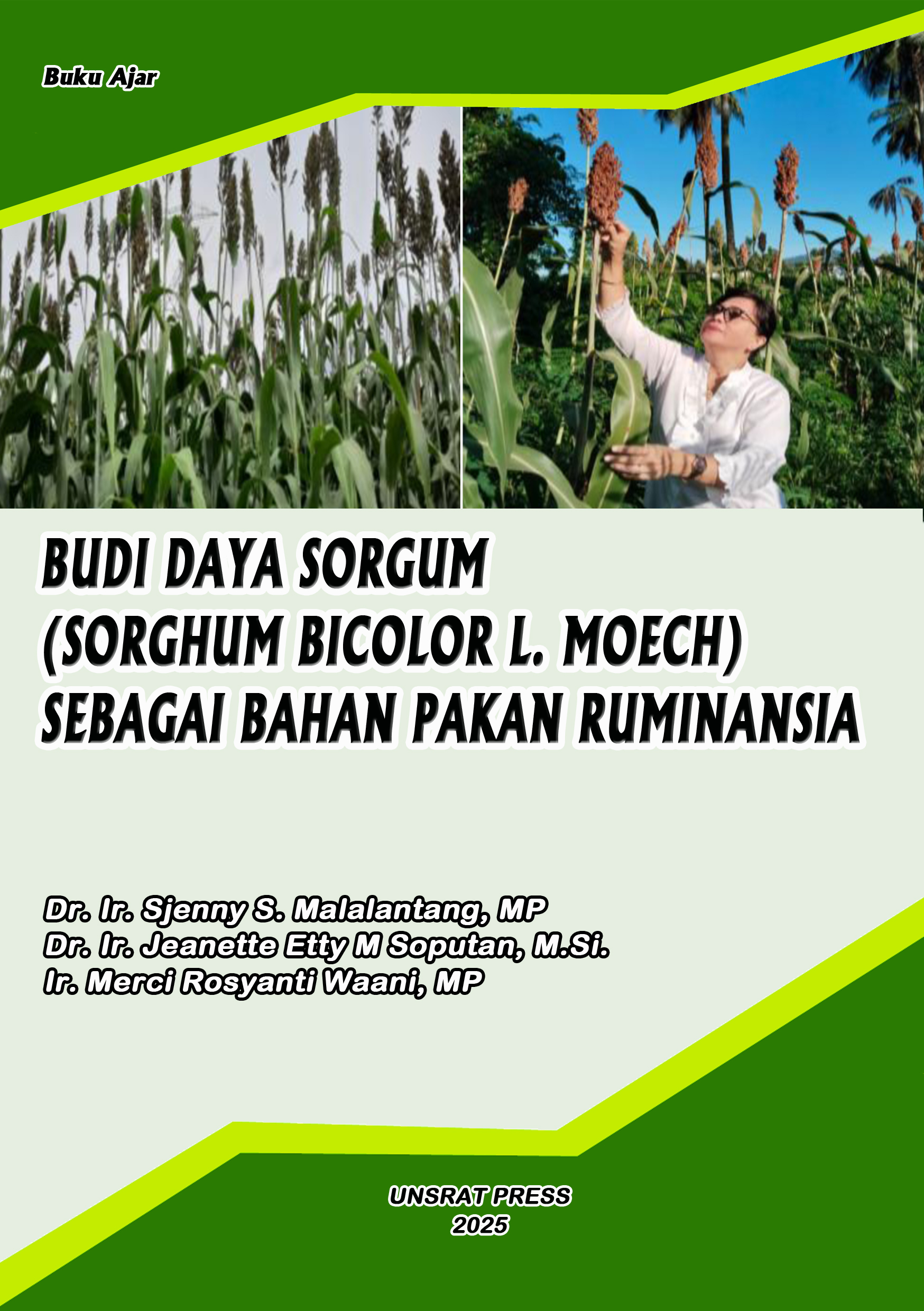BUDI DAYA SORGUM (SORGHUM BICOLOR L. MOECH) SEBAGAI BAHAN PAKAN RUMINANSIA