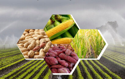 Teknologi Produksi Tanaman Semusim