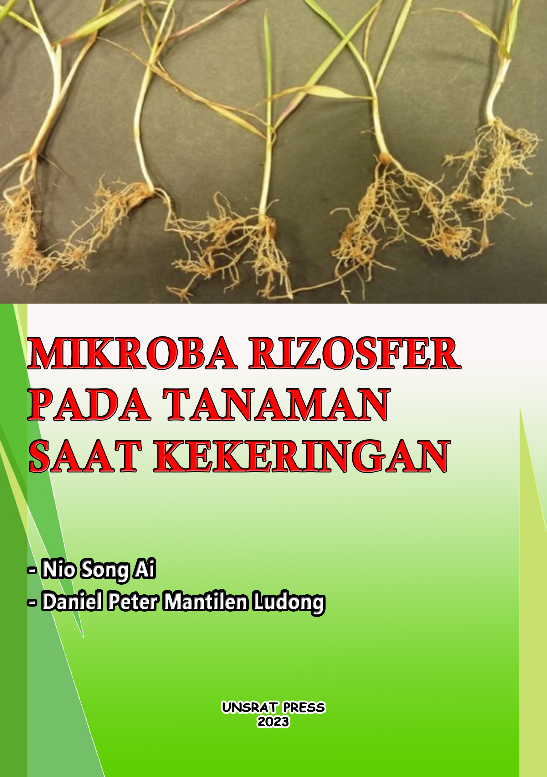 MIKROBA RIZOSFER PADA TANAMAN SAAT KEKERINGAN MIKROBA RIZOSFER PADA TANAMAN SAAT KEKERINGAN