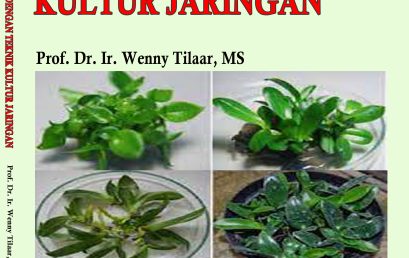 PEMULIAAN TANAMAN DENGAN TEKNIK  KULTUR JARINGAN